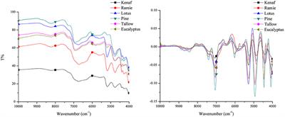 Classification and Identification of Plant Fibrous Material with Different Species Using near Infrared Technique—A New Way to Approach Determining Biomass Properties Accurately within Different Species